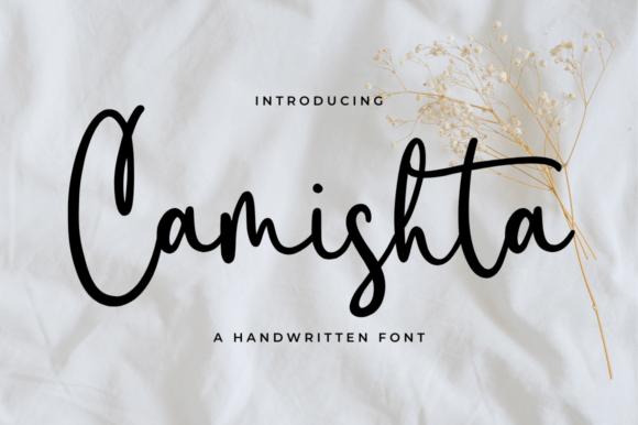 Camishta: A Script Font That Makes Your Campaigns Instantly Clearer