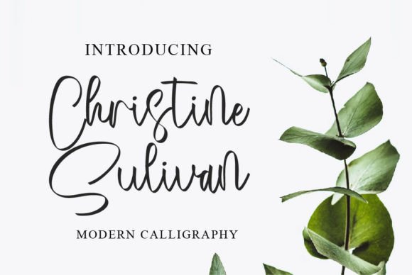 Christine Sulivan: A Script Font That Makes Your Brand Feel Thoughtful & Timeless