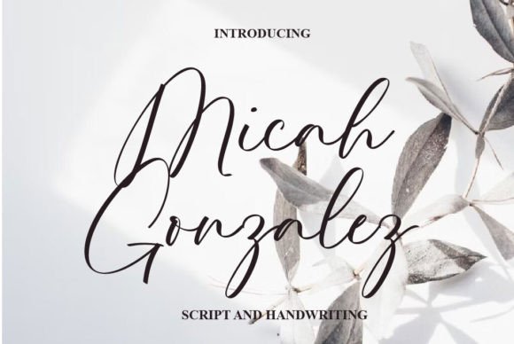 Micah Gonzalez: A Refined Script Font for Branding Moments